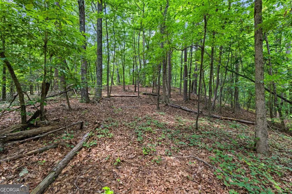 0 Terry RD Fairburn, GA 30213