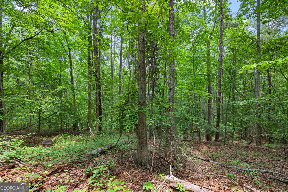 0 Terry RD Fairburn, GA 30213