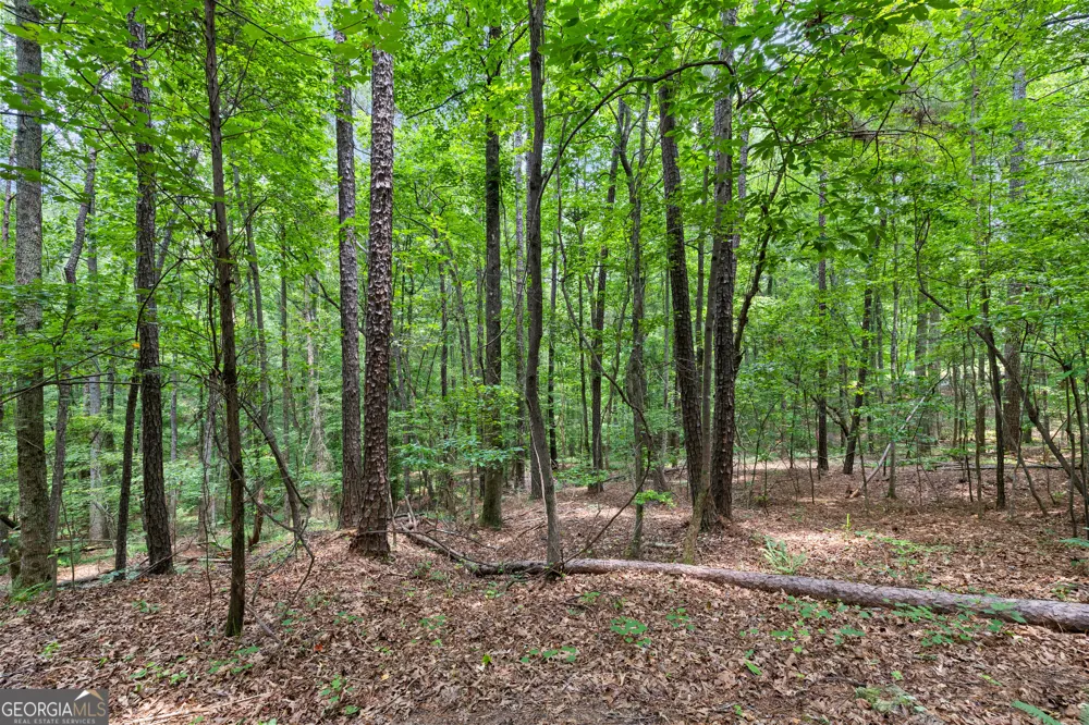0 Terry RD Fairburn, GA 30213
