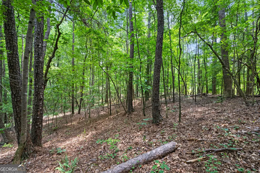 0 Terry RD Fairburn, GA 30213