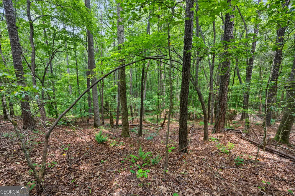 0 Terry RD Fairburn, GA 30213