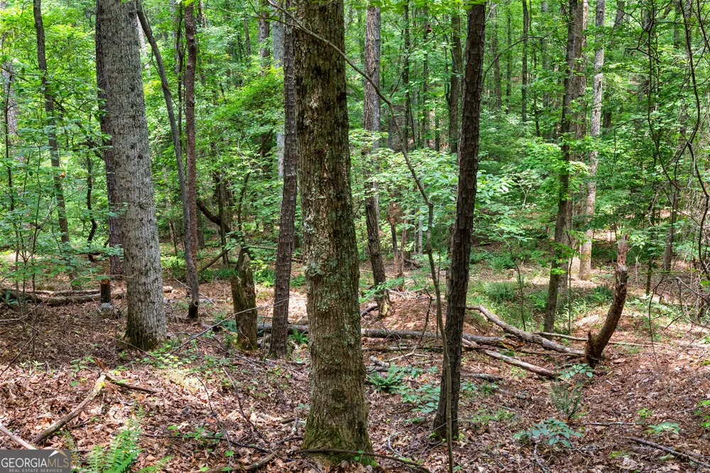 0 Terry RD Fairburn, GA 30213