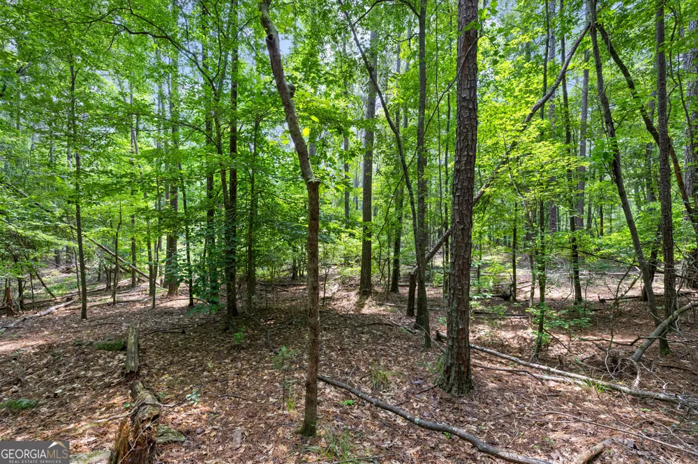 0 Terry RD Fairburn, GA 30213