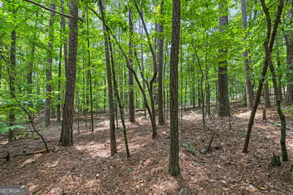 0 Terry RD Fairburn, GA 30213