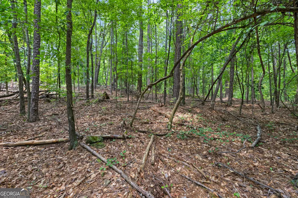0 Terry RD Fairburn, GA 30213