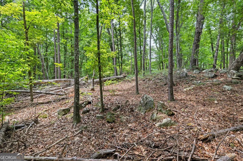 0 Terry RD Fairburn, GA 30213