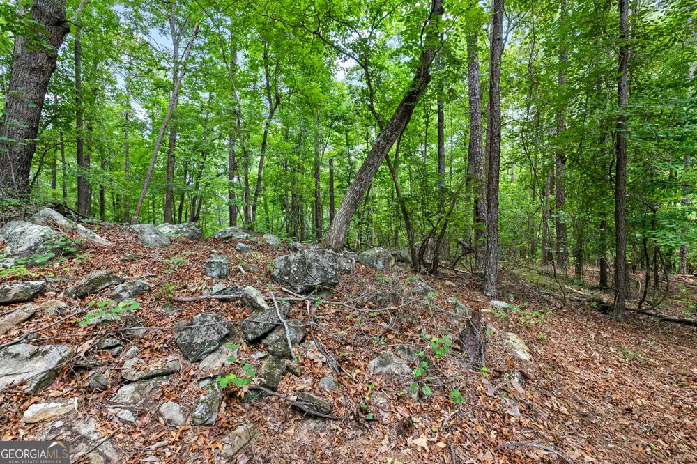 0 Terry RD Fairburn, GA 30213