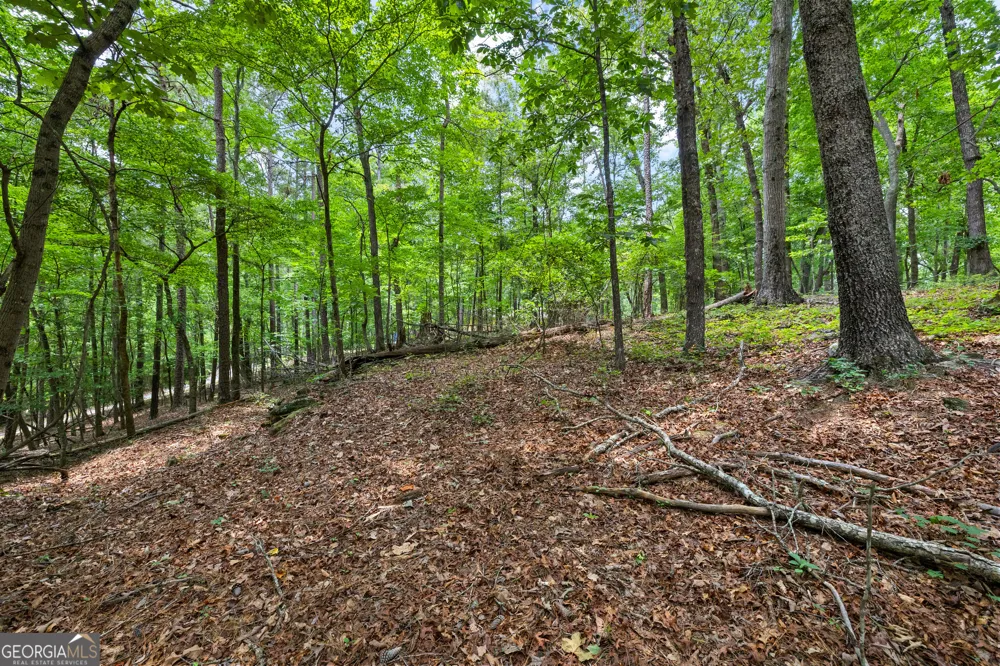 0 Terry RD Fairburn, GA 30213