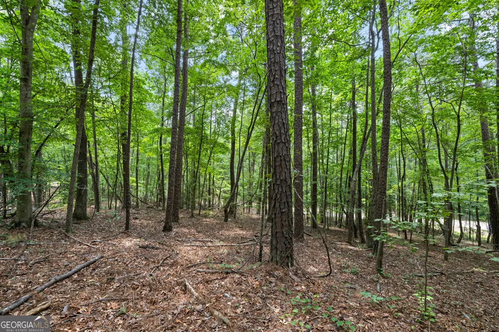 0 Terry RD Fairburn, GA 30213