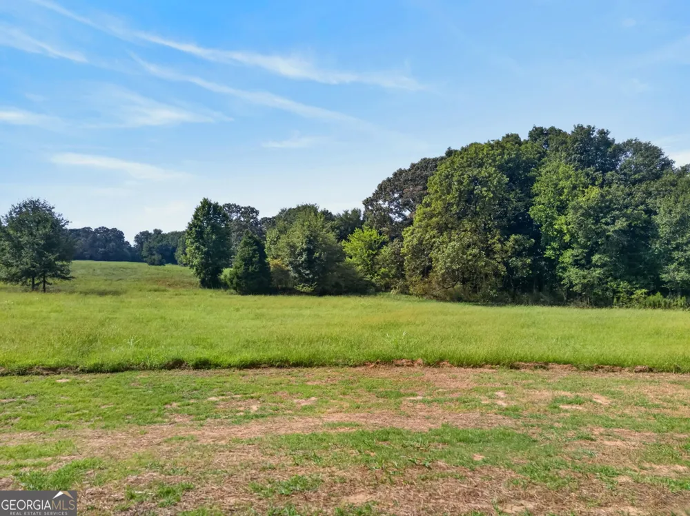1040 Roopville Veal RD Roopville, GA 30170