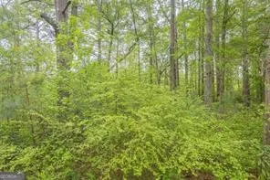 2939 Lake Sorrento CT Conyers, GA 30012