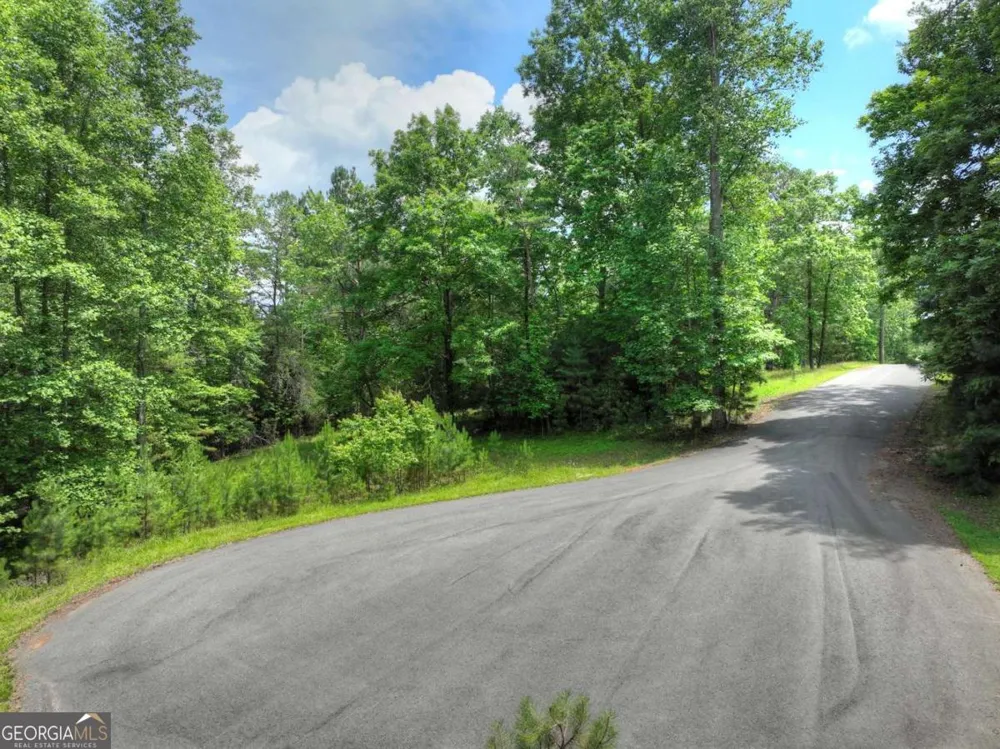 LOT 132 Fox Cove RD Blairsville, GA 30512