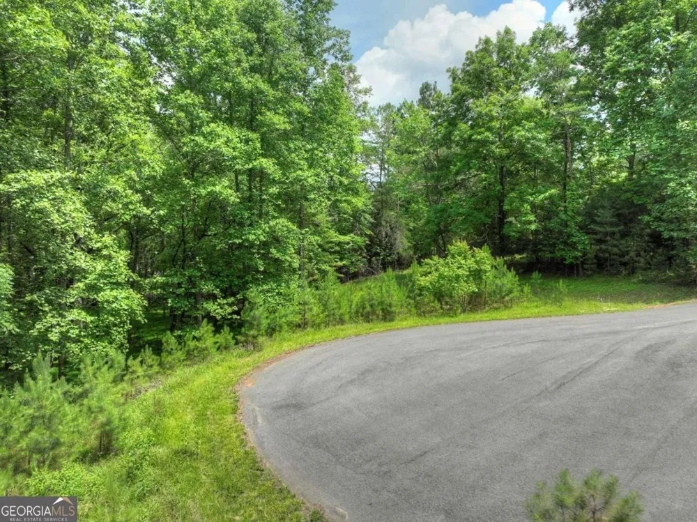 LOT 132 Fox Cove RD Blairsville, GA 30512