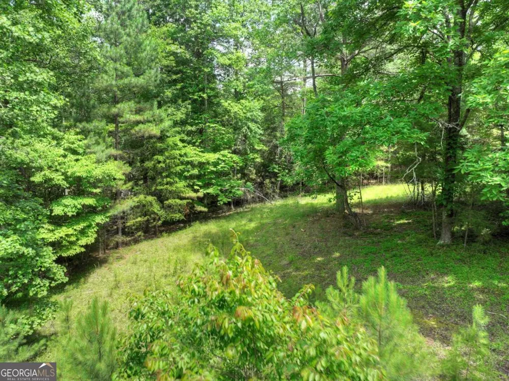 LOT 132 Fox Cove RD Blairsville, GA 30512