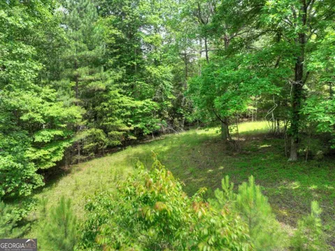 LOT 132 Fox Cove RD