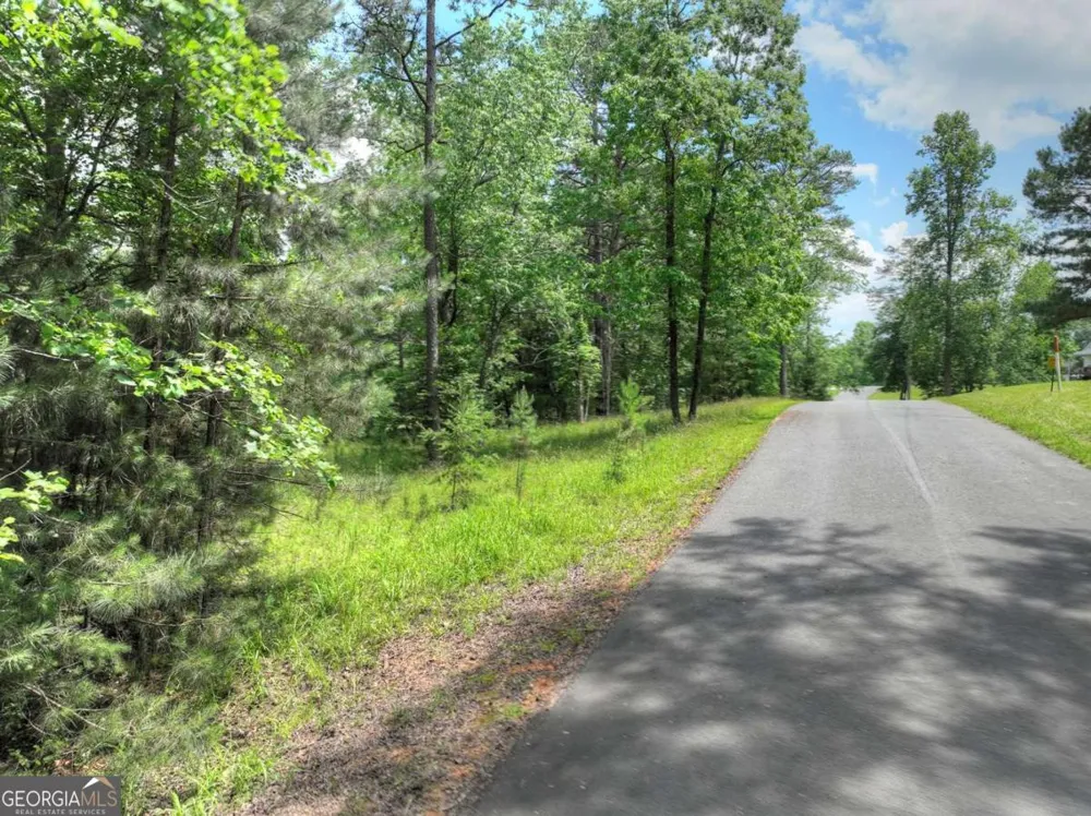 LOT 132 Fox Cove RD Blairsville, GA 30512