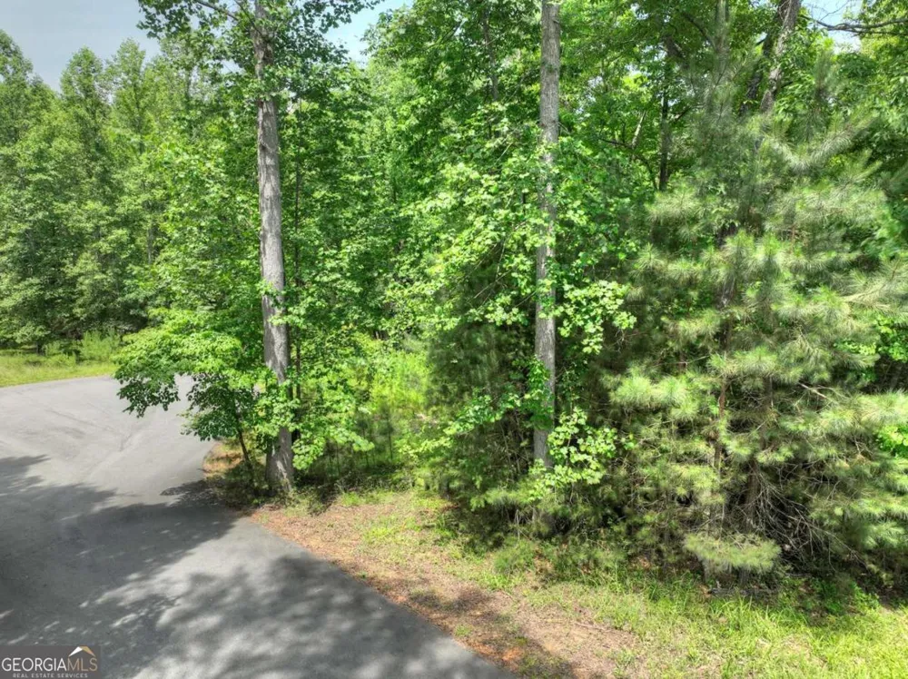 LOT 132 Fox Cove RD Blairsville, GA 30512