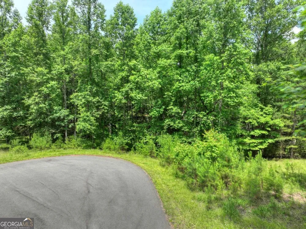 LOT 132 Fox Cove RD Blairsville, GA 30512