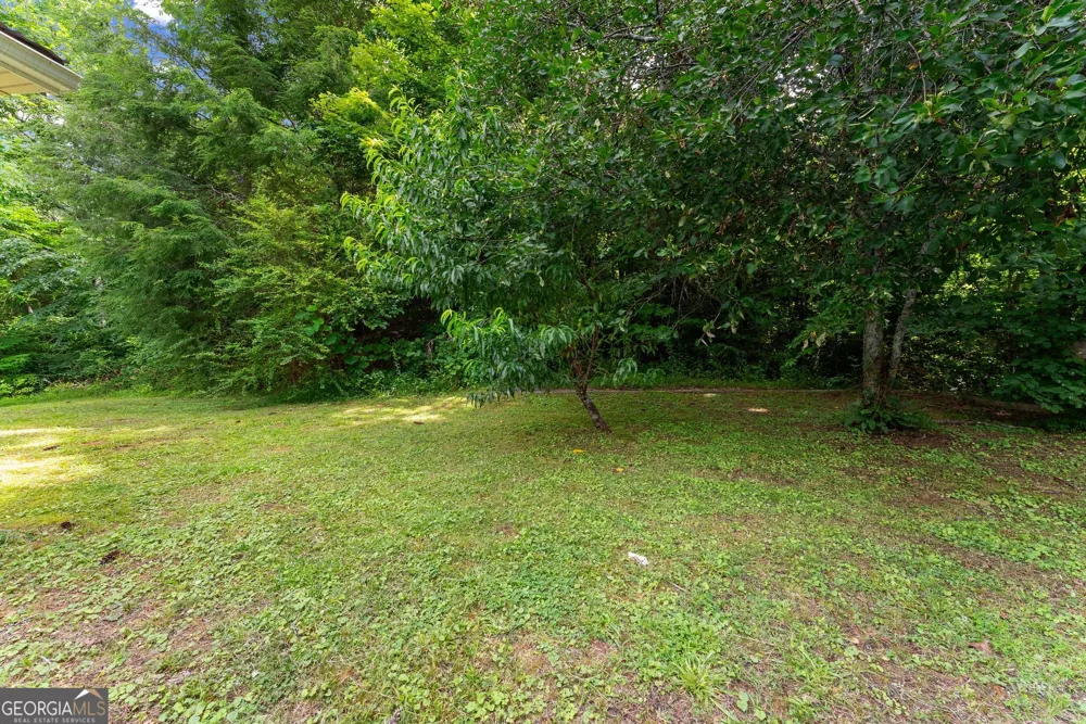 110 Pastel LN Clayton, GA 30525