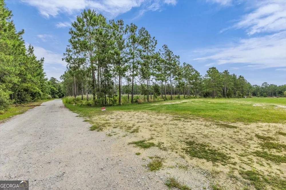 0 Wood Grove LN Richmond Hill, GA 31324