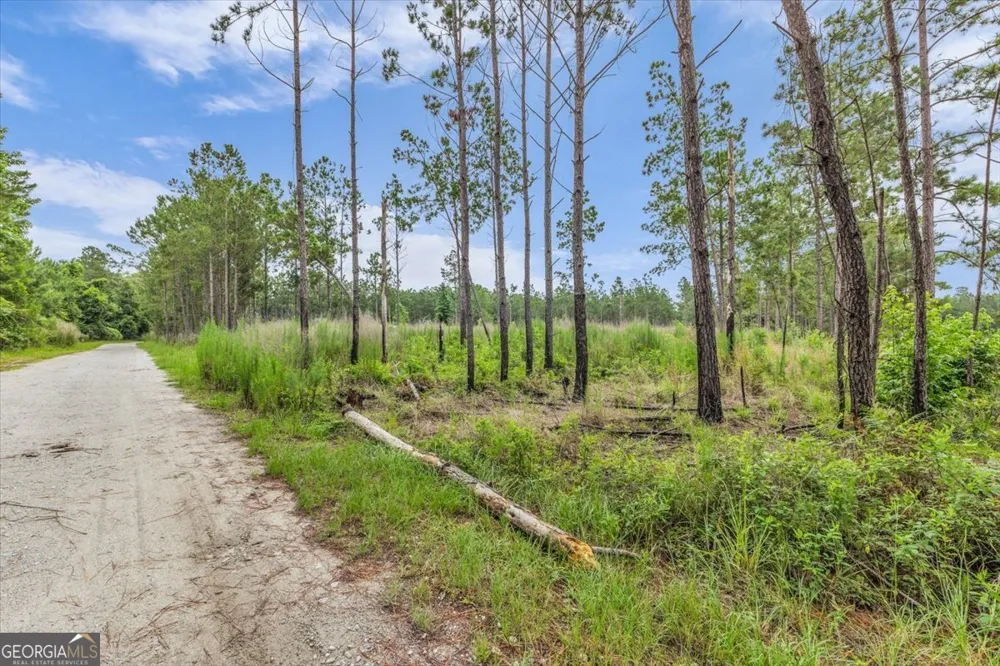 0 Wood Grove LN Richmond Hill, GA 31324