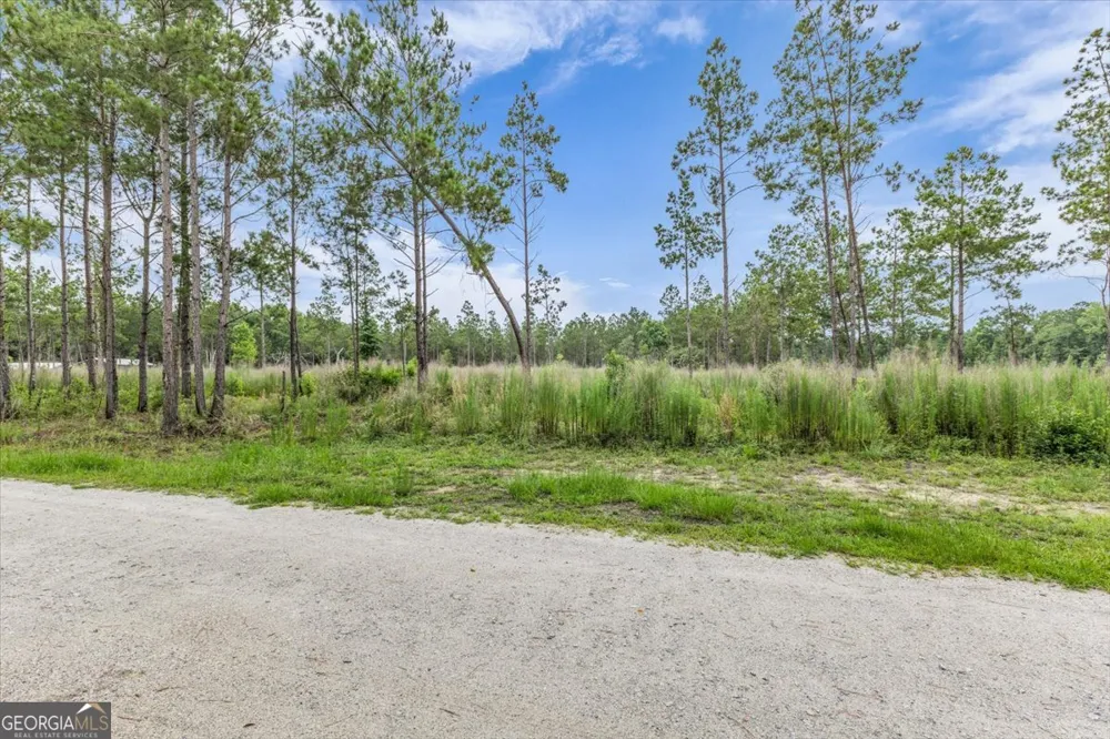 0 Wood Grove LN Richmond Hill, GA 31324