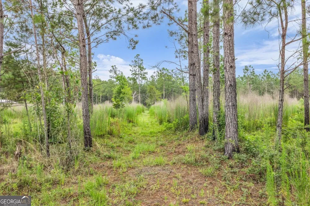 0 Wood Grove LN Richmond Hill, GA 31324