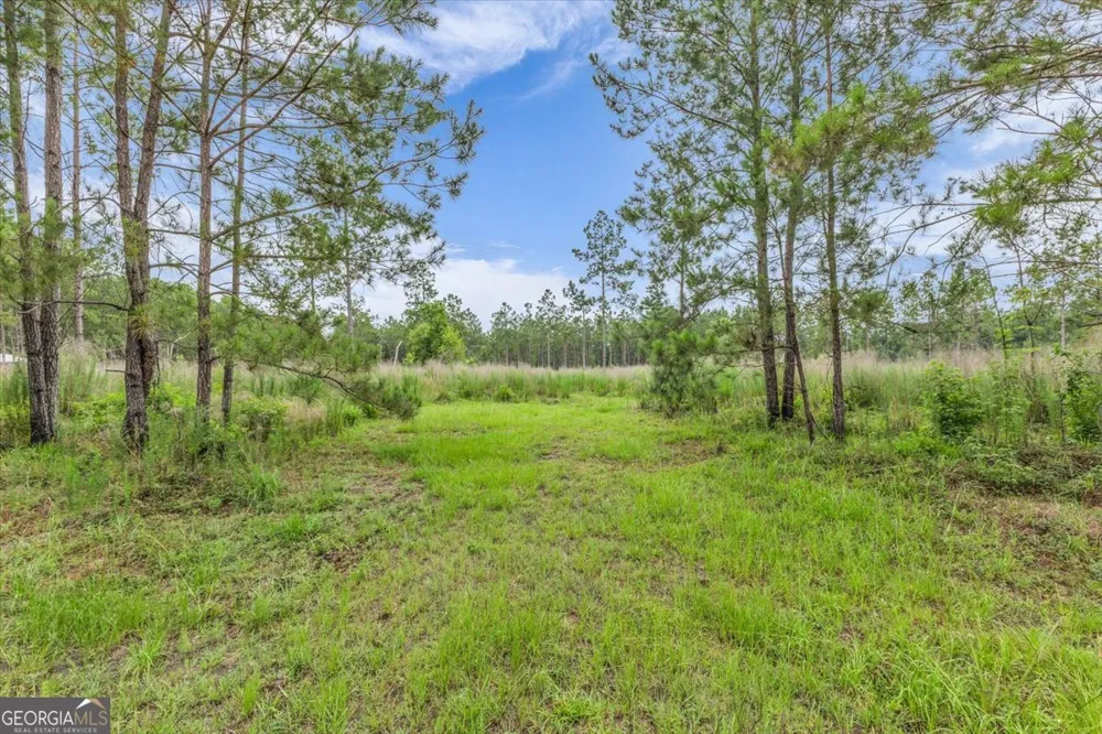 0 Wood Grove LN Richmond Hill, GA 31324
