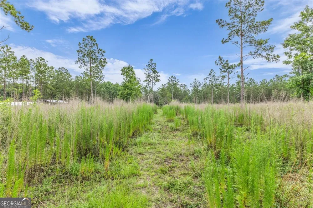 0 Wood Grove LN Richmond Hill, GA 31324
