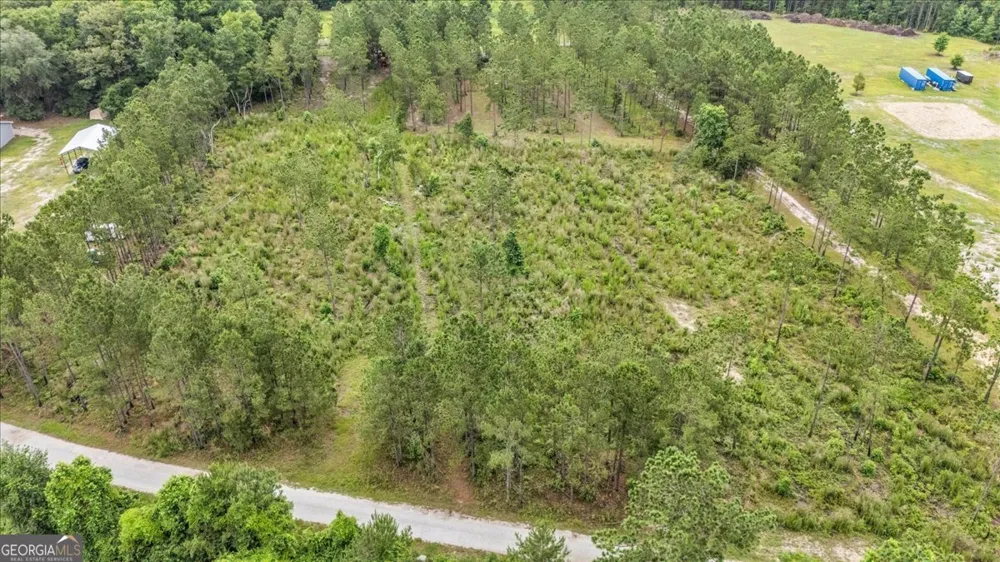 0 Wood Grove LN Richmond Hill, GA 31324