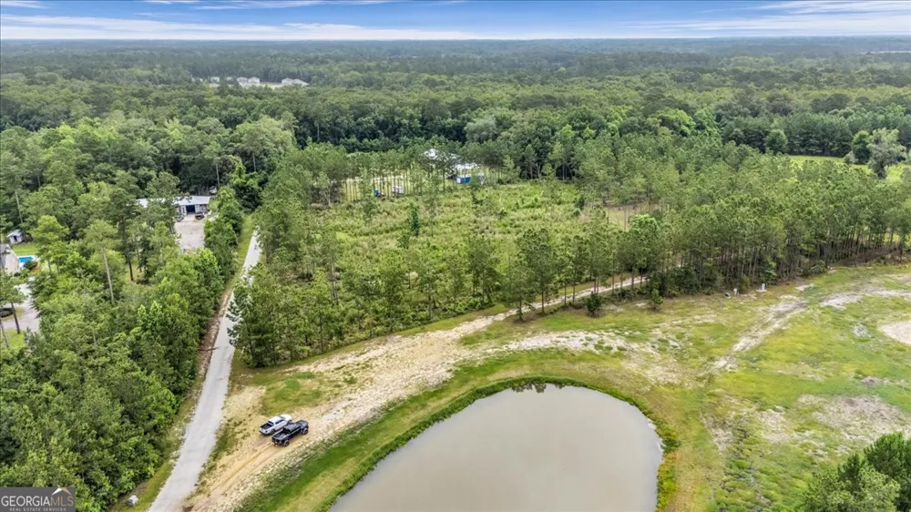 0 Wood Grove LN Richmond Hill, GA 31324