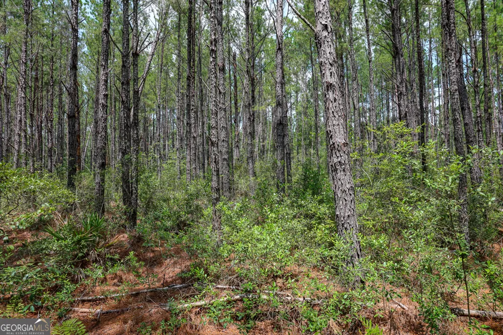 0 Grey Hawk RD Millwood, GA 31552