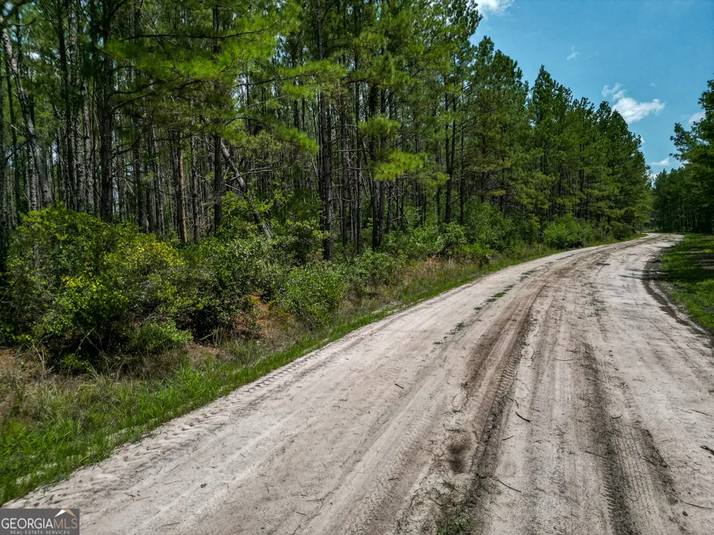 0 Grey Hawk RD Millwood, GA 31552