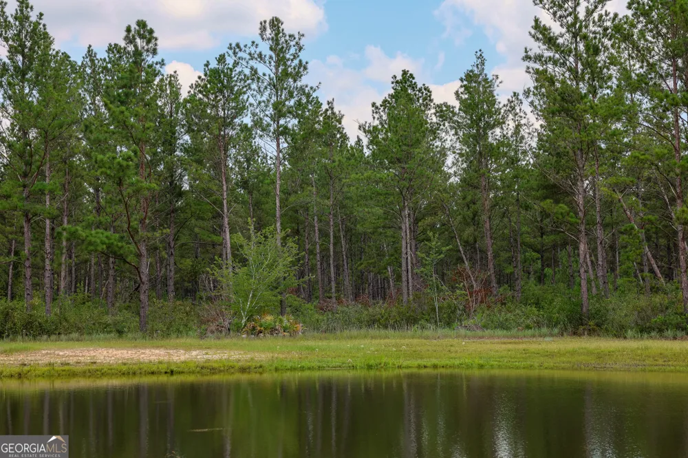 0 Grey Hawk RD Millwood, GA 31552