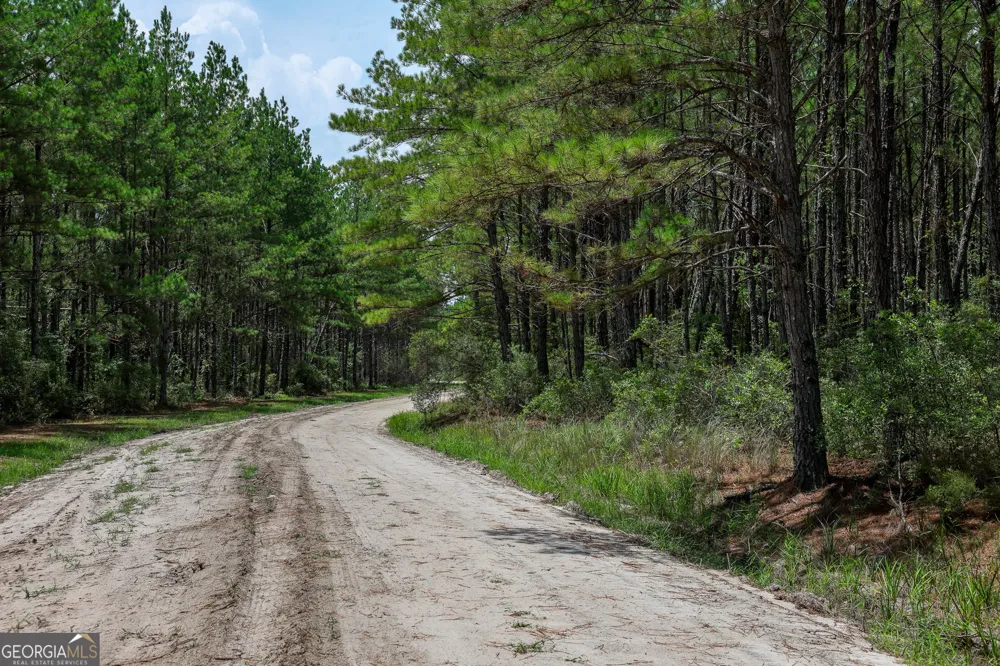 0 Grey Hawk RD Millwood, GA 31552