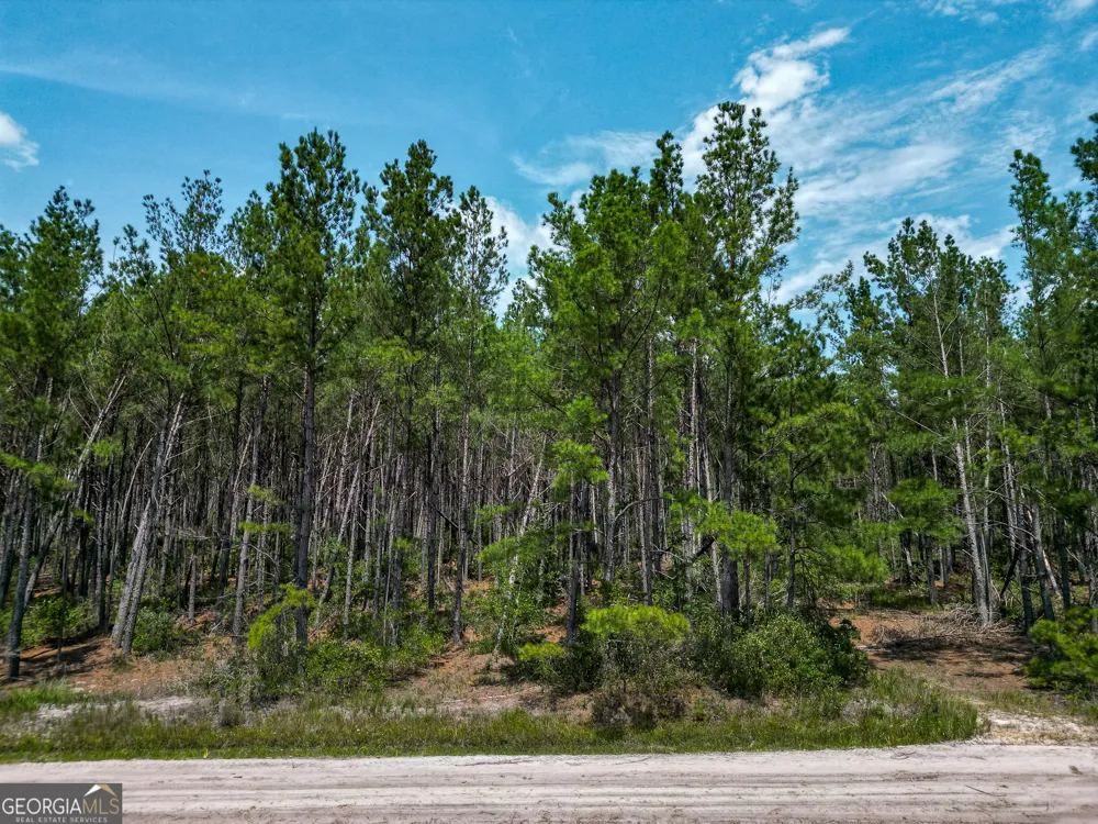 0 Grey Hawk RD Millwood, GA 31552