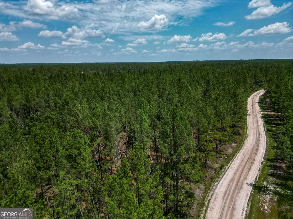 0 Grey Hawk RD Millwood, GA 31552