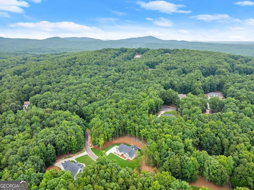 708 Plum LN Clarkesville, GA 30523