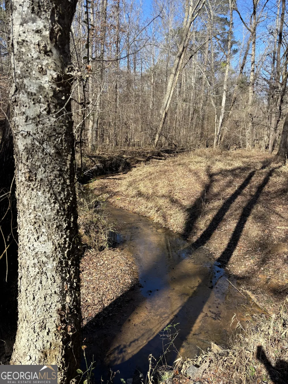 0 Carl Mathis RD Talbotton, GA 31827