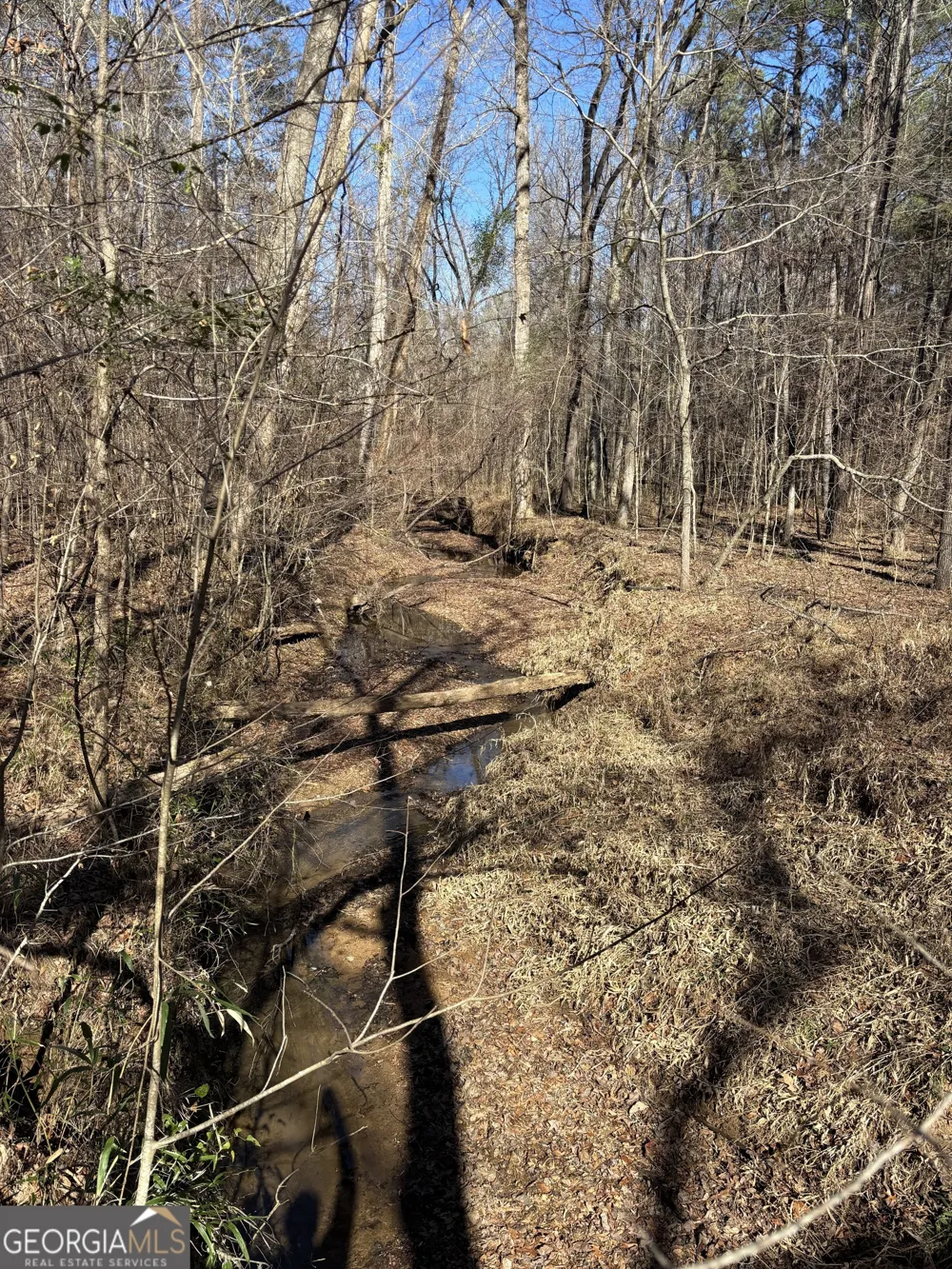 0 Carl Mathis RD Talbotton, GA 31827