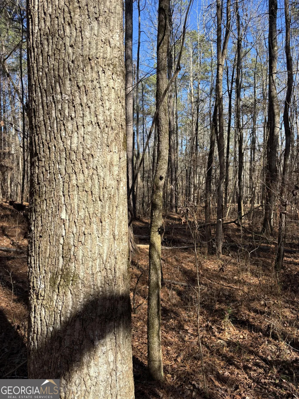 0 Carl Mathis RD Talbotton, GA 31827