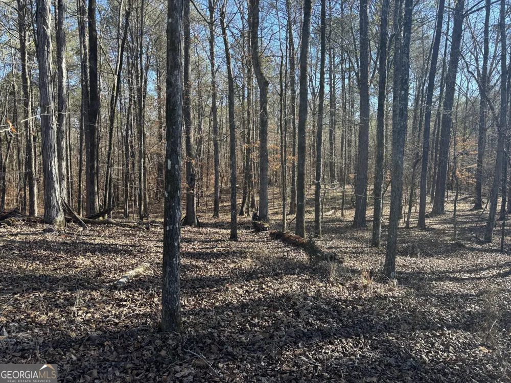 0 Carl Mathis RD Talbotton, GA 31827