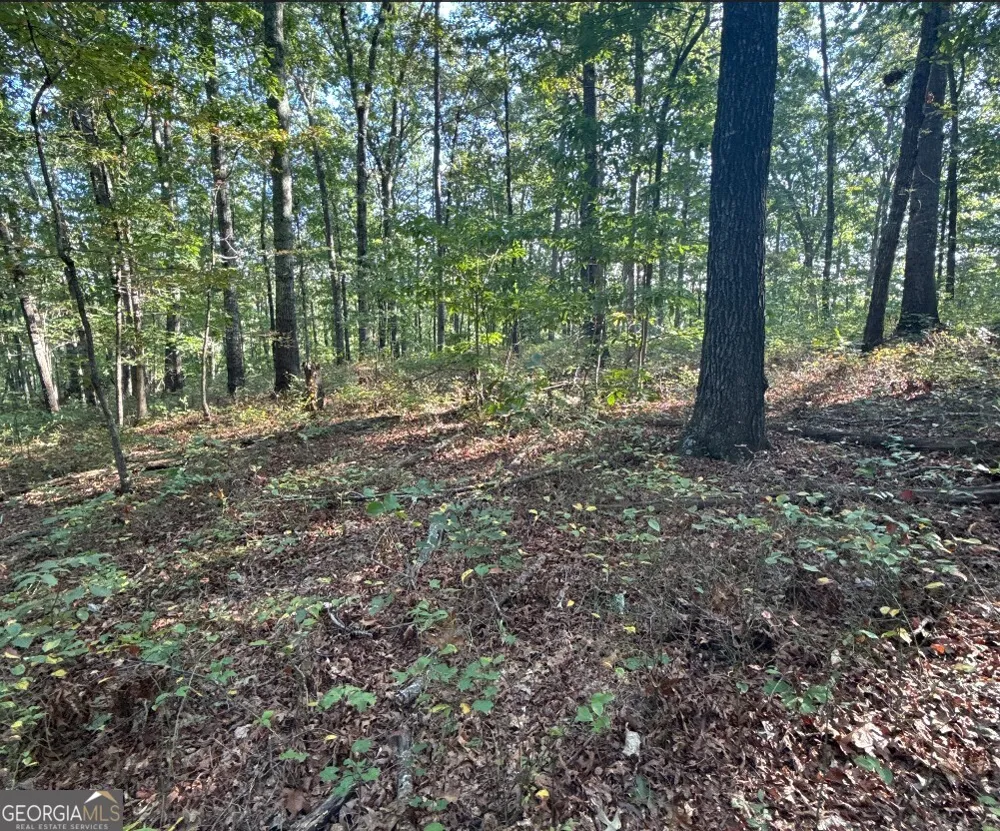 0 Turkey CT Waco, GA 30182