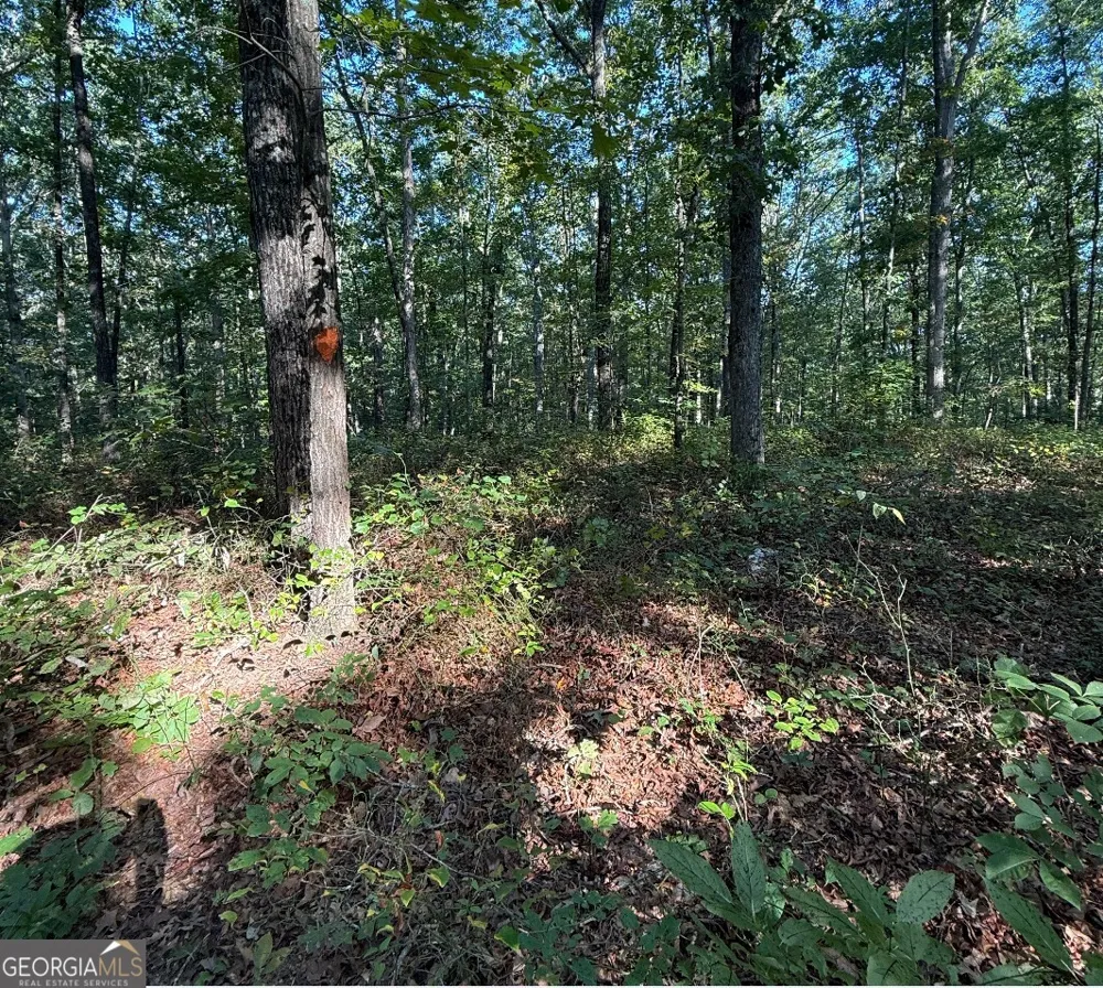 0 Turkey CT Waco, GA 30182