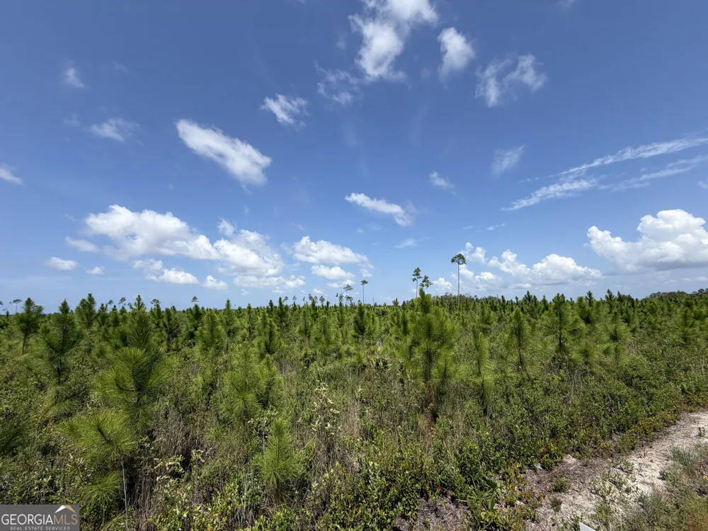 32 ACRES Allanton RD Panama City, FL 32404