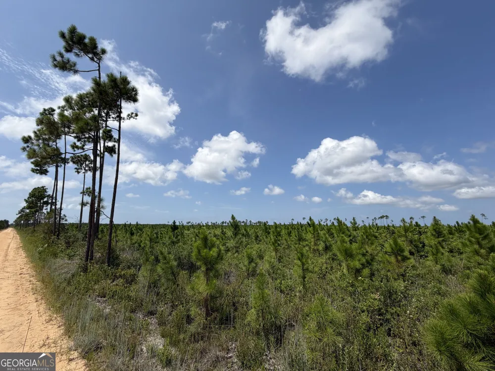 32 ACRES Allanton RD Panama City, FL 32404