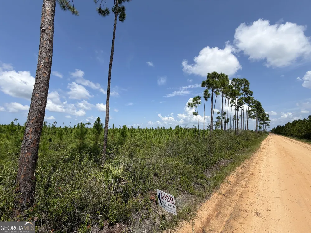 32 ACRES Allanton RD Panama City, FL 32404