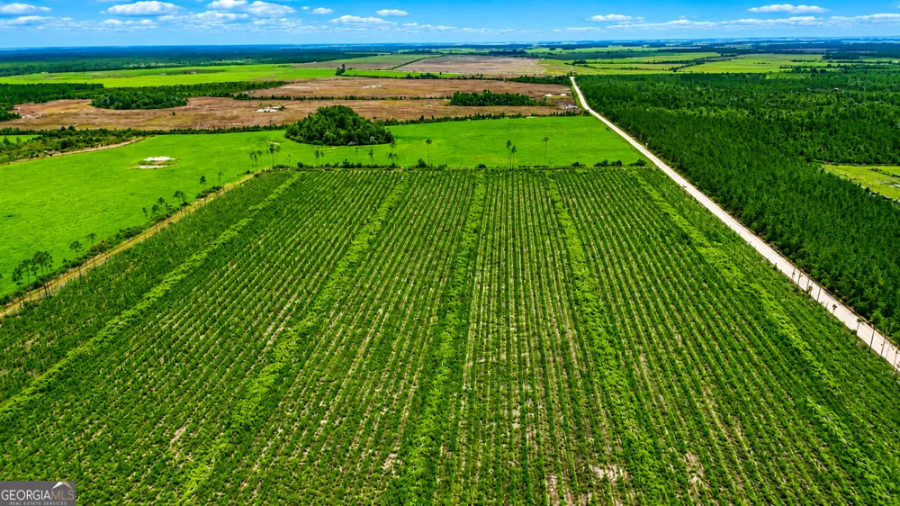 10.6 ACRES Allanton RD Panama City, FL 32404