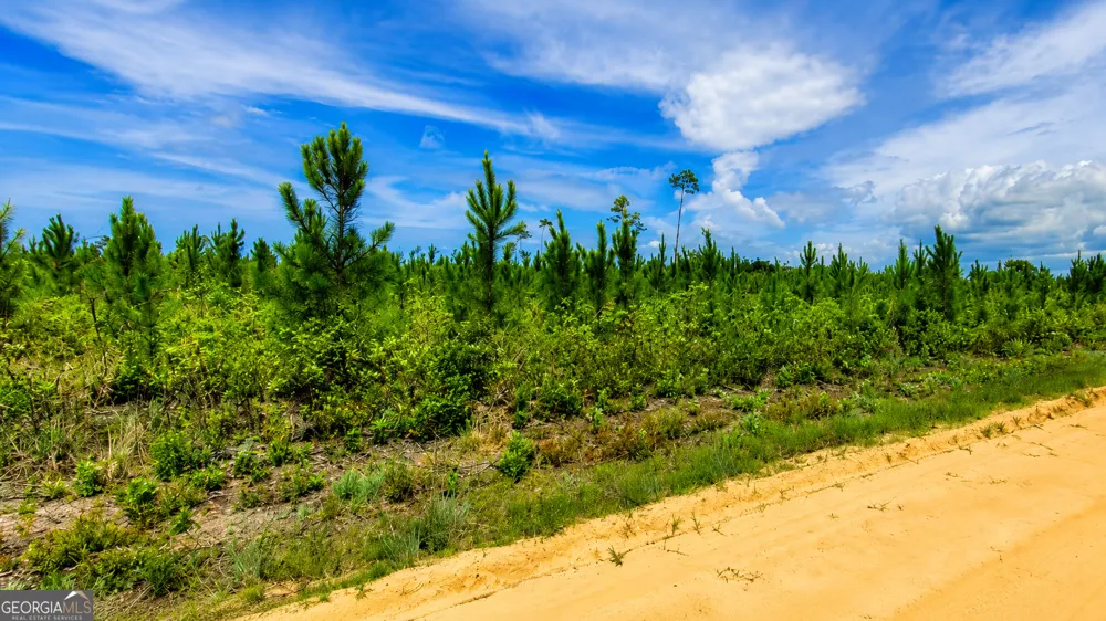 10.6 ACRES Allanton RD Panama City, FL 32404