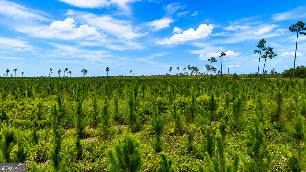 10.6 ACRES Allanton RD Panama City, FL 32404